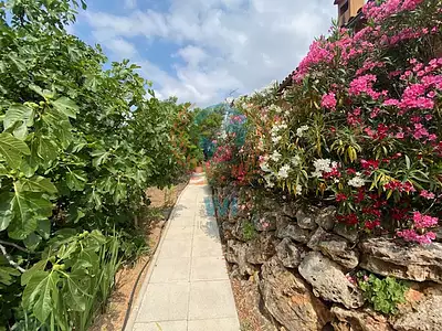 Maison, 155 m²