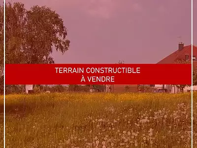 Terrain