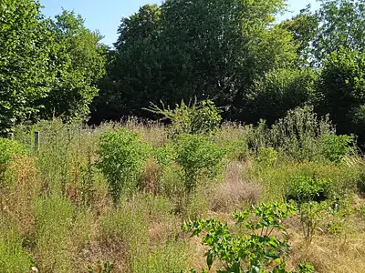 Maison, 65,6 m²