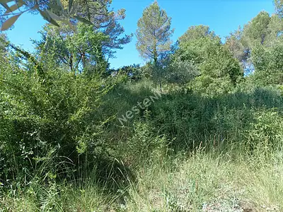 Terrain, 1 323 m²