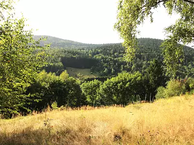 Terrain, 2 080 m²