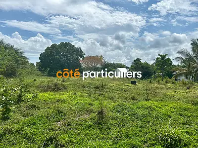 Terrain, 5 000 m²