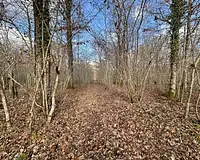 Terrain, 119 780 m²