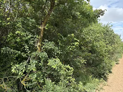 Terrain, 3 800 m²