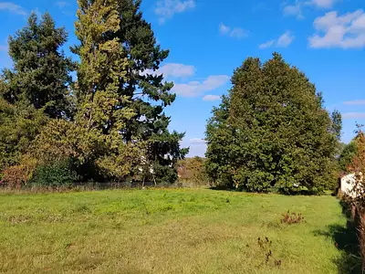 Terrain, 1 541 m²
