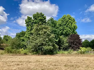 Terrain à bâtir, 586 m²