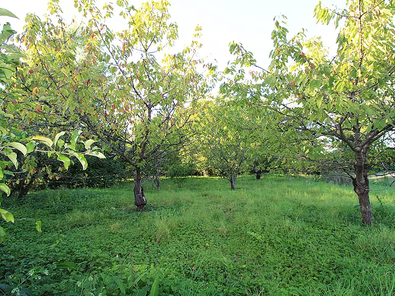 Maison, 103 m²