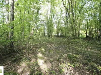 Terrain, 2 312 m²