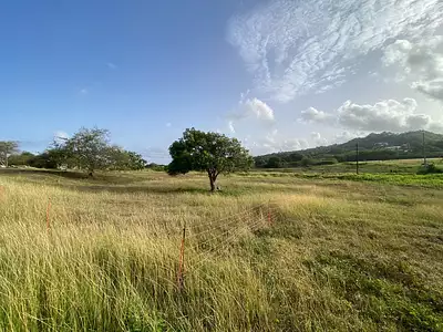 Terrain, 1 000 m²