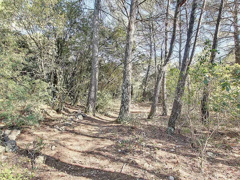 Terrain, 104 010 m²