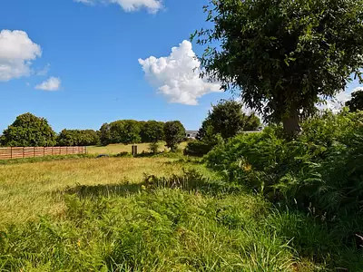 Terrain, 790 m²