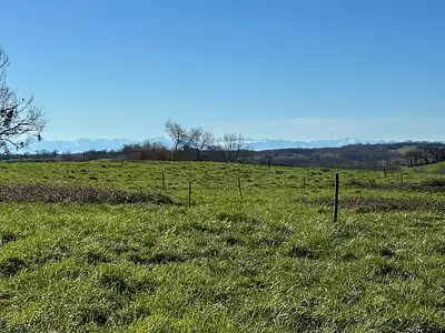 Terrain, 4 403 m²