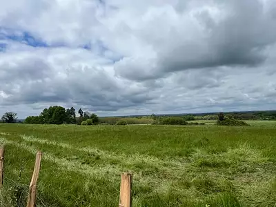 Terrain, 7 410 m²