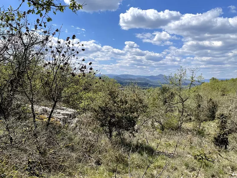 Terrain, 52 200 m²