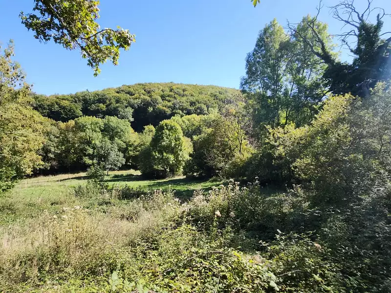 Maison, 225 m²