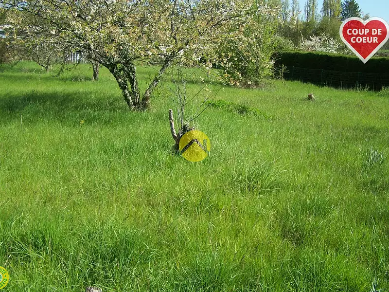 Terrain, 925 m²