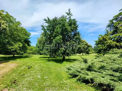 Maison, 338 m²