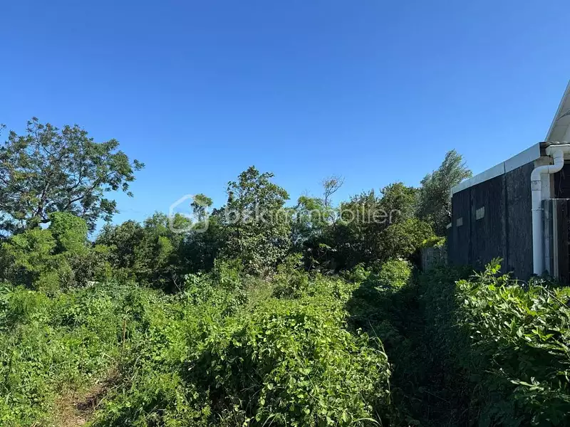 Terrain, 709 m²