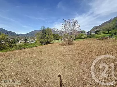 Terrain