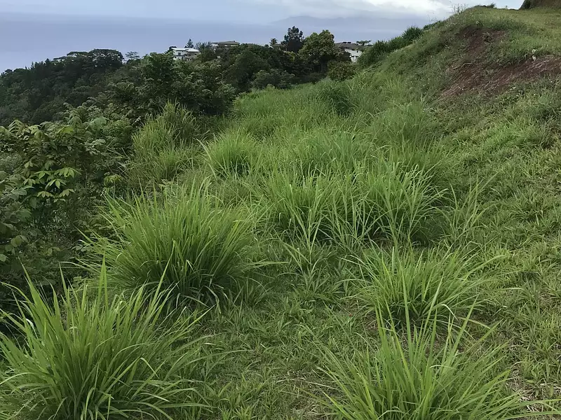 Terrain, 3 074 m²
