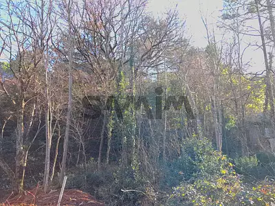 Terrain, 2 388 m²