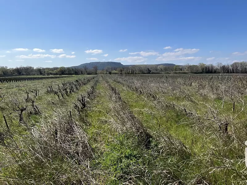 Terrain, 7 010 m²