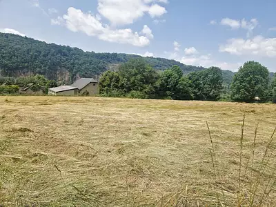 Terrain, 3 436 m²