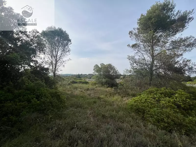 Terrain, 6 091 m²