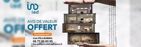 Lise Pellaumail - iad