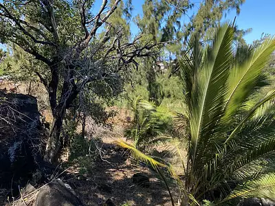 Terrain, 1 630 m²