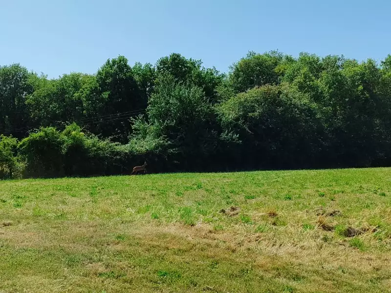 Maison, 194 m²