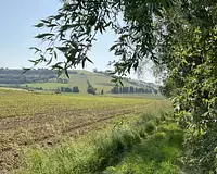 Terrain, 2 600 m²
