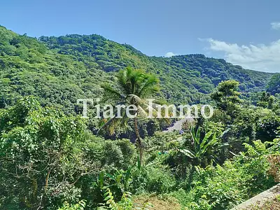 Terrain, 41 000 m²