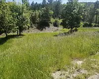 Terrain, 982 m²