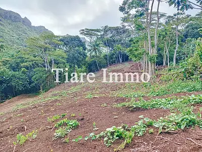 Terrain, 1 600 m²