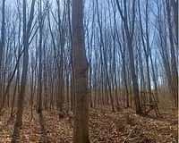 Terrain, 954 490 m²