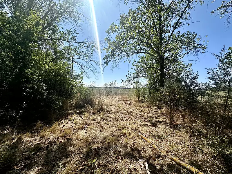 Terrain, 40 380 m²