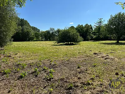 Terrain, 5 501 m²