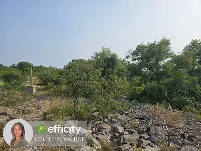 Terrain, 32 000 m²