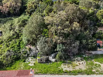 Terrain, 2 259 m²