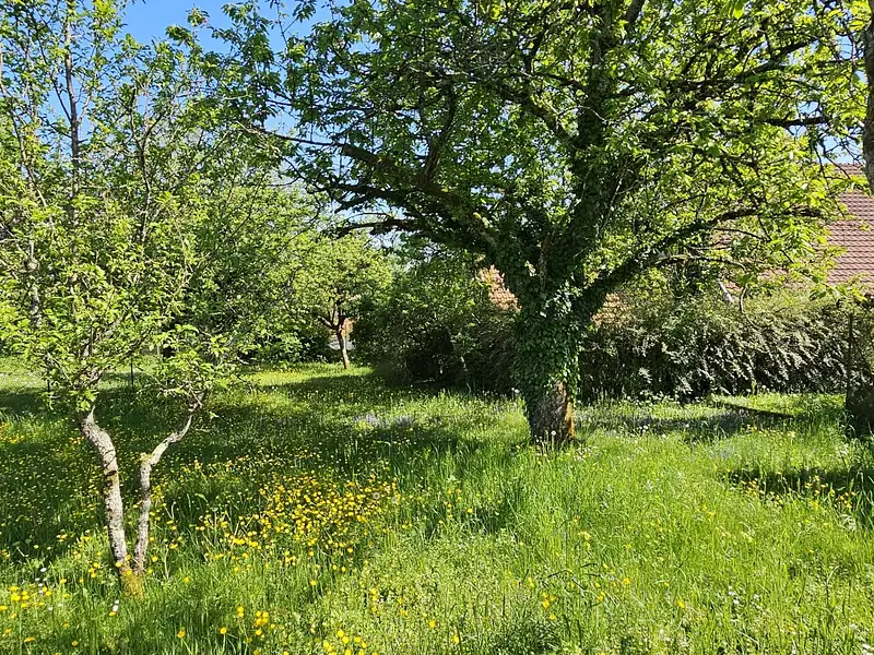 Maison, 184 m²