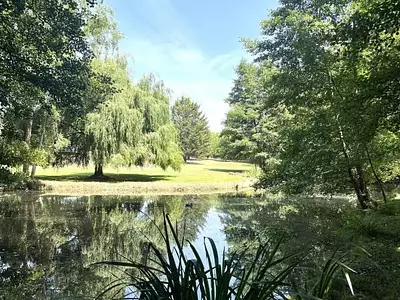 Maison, 280 m²