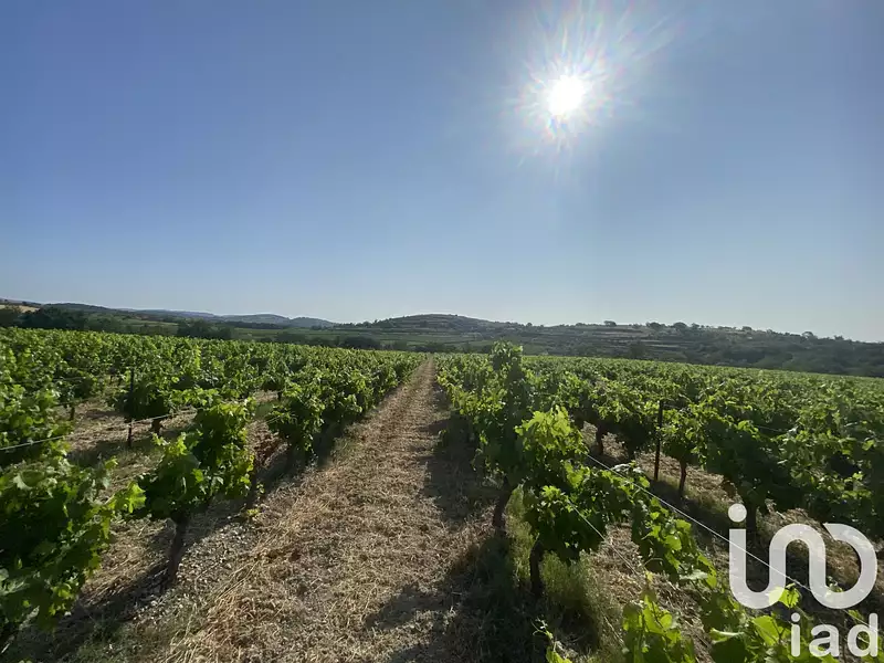 Terrain, 105 426 m²