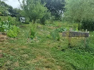 Maison, 375 m²