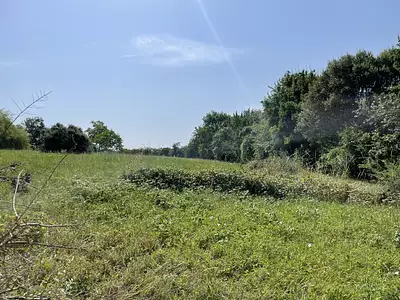 Terrain, 5 281 m²