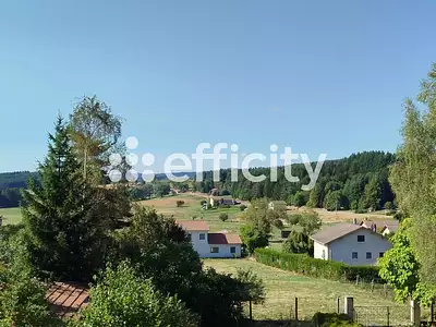 Maison, 240 m²