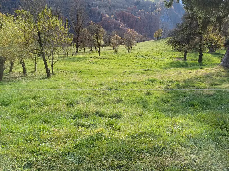 Terrain, 667 m²