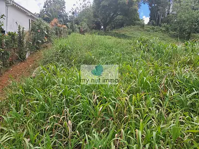 Terrain, 2 150 m²