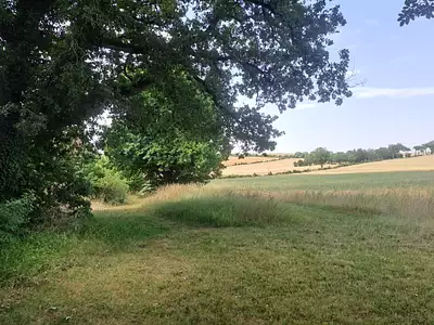 Maison, 260 m²