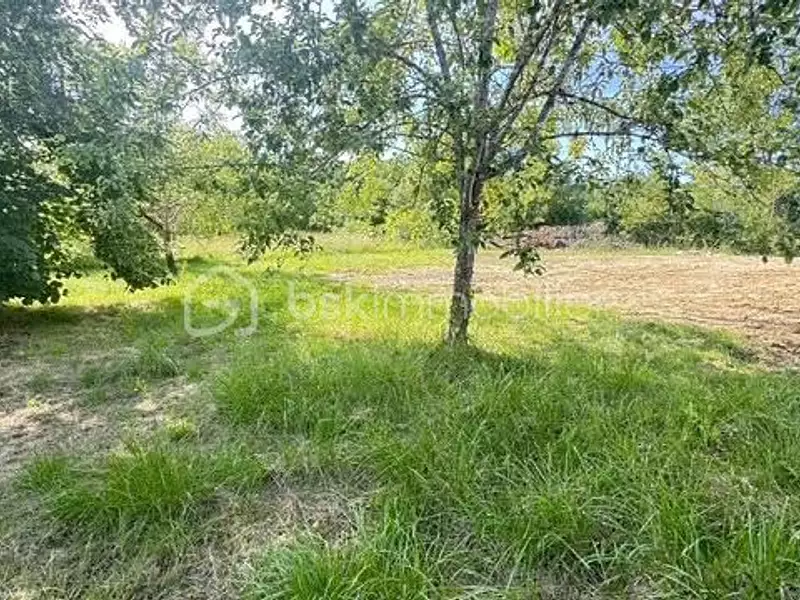 Terrain, 784 m²